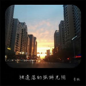 被遗落的孤僻光阴