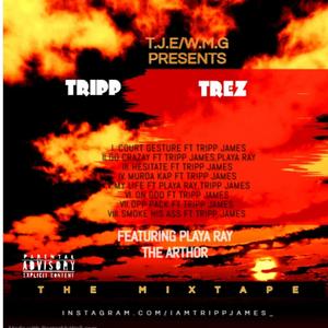 The Court Jester (feat. TREZ) (Explicit)