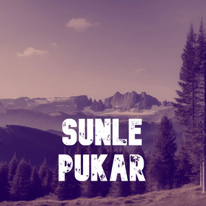 Sunle pukar