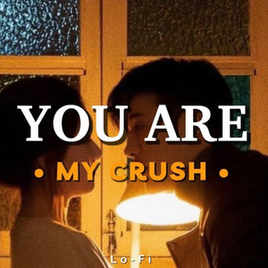 You Are My Crush (Lofi)