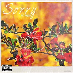 Sorry (feat. Fazle) [Explicit]