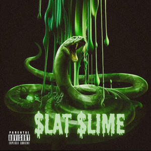 SLAT SLIME (feat. 356 Vill & BinoFallout) (Explicit)