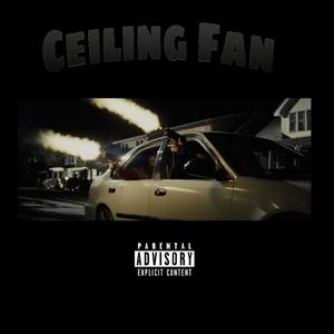 Ceiling Fan (Explicit)