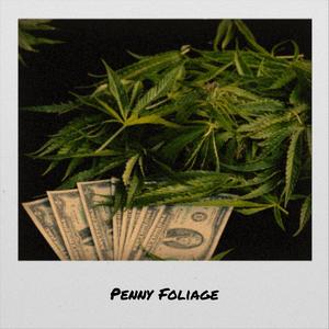 Penny Foliage