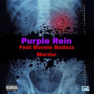 Murder (feat. Boosie Badazz) (Explicit)