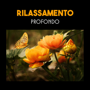 Rilassamento profondo - Suoni eccezionali della natura, musica orientale per la meditazione, atmosfera zen, armonia interiore e il bilanciamento dei chakra