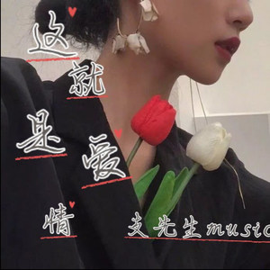 迪迦