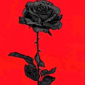 Cant Believe (Explicit)