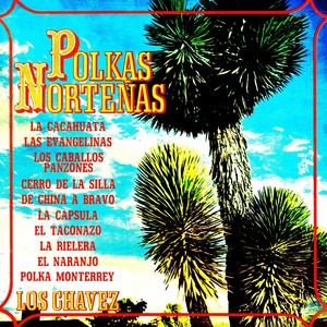 Los caballos panzones