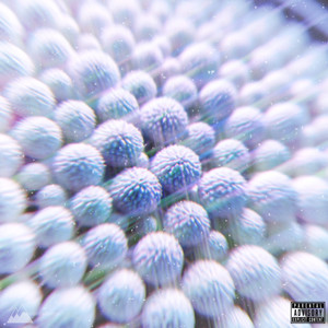 Perspective. (Explicit)