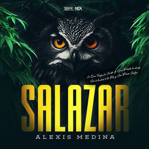 Alexis Medina - Salazar