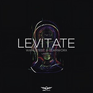 Levitate (Radio Edit)