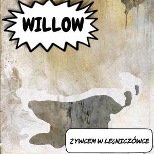 Willow
