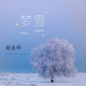 梦雪