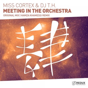 Meeting In The Orchestra (Radio Edit)