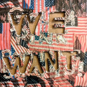 WE WANT (feat. Swiggle Mandela & Machete Mike) (Explicit)