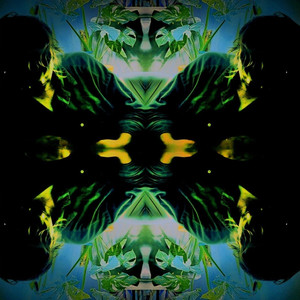 didn't mean to say that