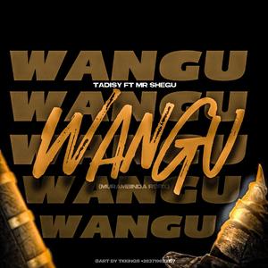 WANGU (Murambinda refix) (feat. Mr Shegu)