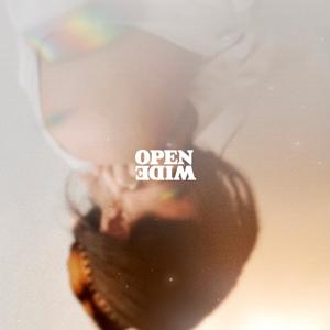 open wide (yung scrawn remix)