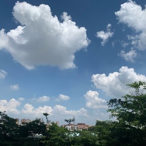鹤归南木 (Demo)
