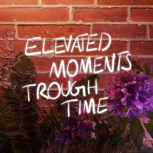 ELEVATED.MOMENTS.THROUGH.TIME (Explicit)