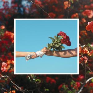 Contender (feat. J-Boy, Kritz Insomnia & $uay Kaay) (Radio Edit|Explicit)