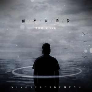 醒不来的梦 (完整男版)