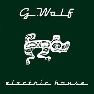 Electric House