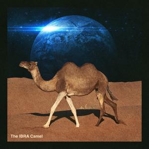 The IBRA Camel