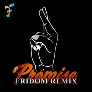 Promise (Fridom Remix)