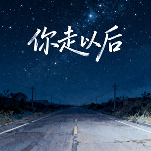 你走以后