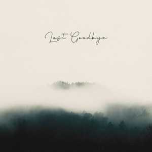 Last Goodbye
