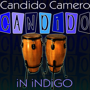 Candido In Indigo