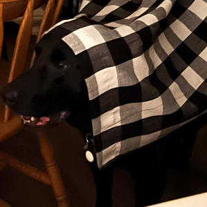 Chicken Fried Rice (feat. Skittle) (Explicit)