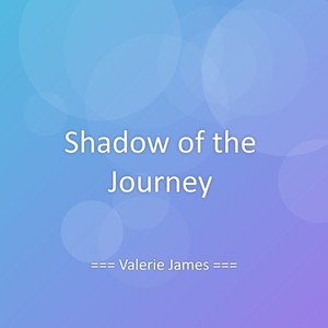 Shadow of the Journey