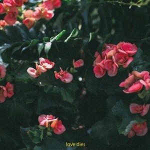 love dies (Prod. tomppabeats)