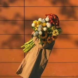 半糖记 - Party Nation