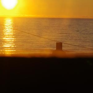 fell in love or smth