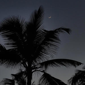 TSUNAMI (feat. Unreal Mizo) (Explicit)