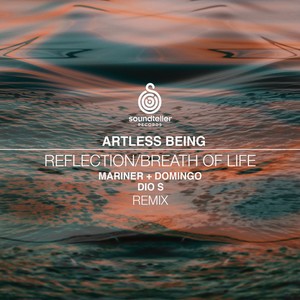 Reflection (Mariner + Domingo Remix)