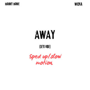 Away [Seyi Vibe] (Slowed)