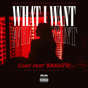 What I Want (feat. BRNGTN) (Radio Edit)