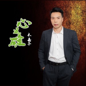 心这碇