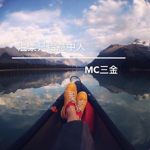 温柔只给意中人