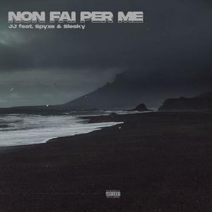 Non Fai Per Me (feat. Spyxe & Slesky)