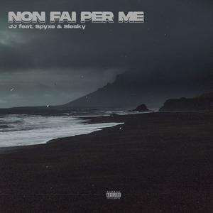 Non Fai Per Me(feat. Spyxe & Slesky)