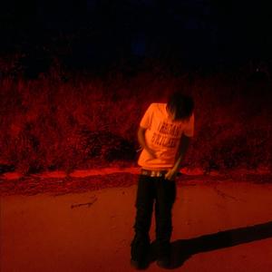 panoramic (hoodtrap)