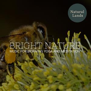 Bright Nature - Music for Morning Yoga and Meditation