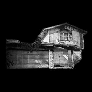Wilderness (Explicit)