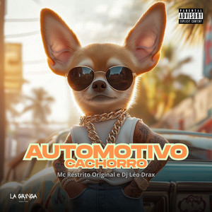 Automotivo Cachorro (Explicit)